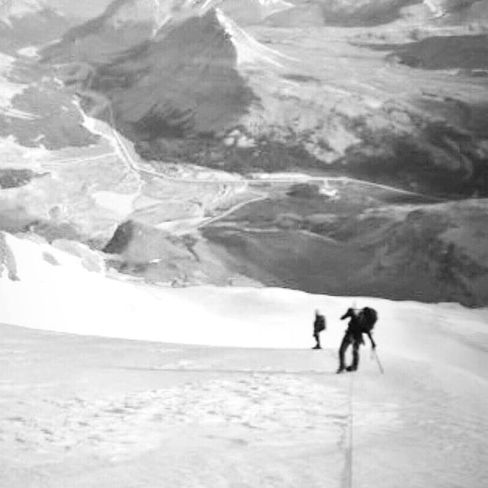 Meet your Posher, Krissy